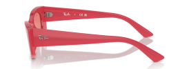 676084 - Red Cherry