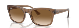 664051 - Transparent Light Brown