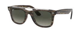 Ray-Ban RB 4540 WAYFARER Sunglasses