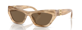 610673 - Brown Oyster