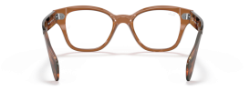 8180 - Transparent Brown