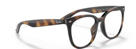 Ray-Ban RX4379VD Glasses