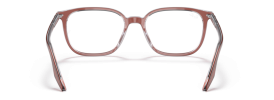 8171 - Brown On Transparent