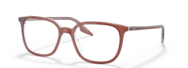 8171 - Brown On Transparent