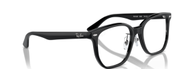 Ray-Ban RX5425D Glasses