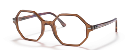 8179 - Transparent Brown