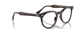 Ray-Ban RX5598 EAGLEEYE Glasses