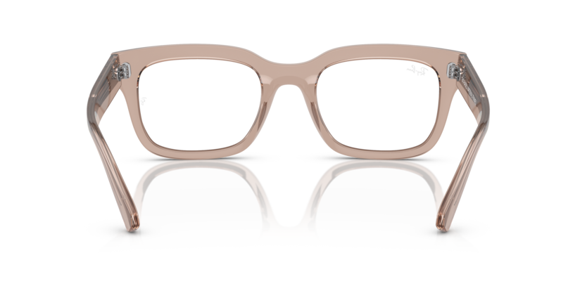 8317 - Transparent Light Brown