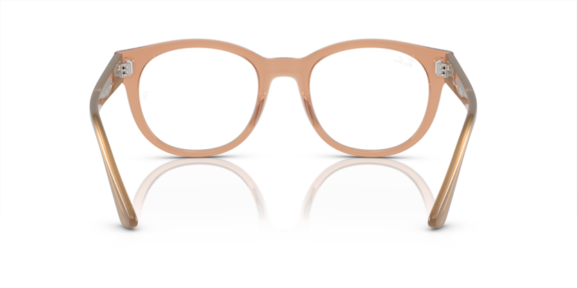 8313 - Transparent Light Brown