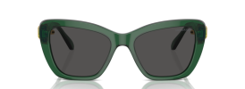 104587 - Transparent Dark Green