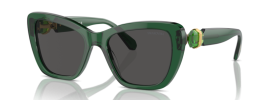 104587 - Transparent Dark Green