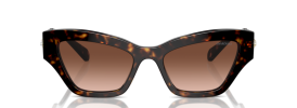 Swarovski SK 6021 Sunglasses