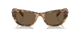 Swarovski SK 6022 Sunglasses