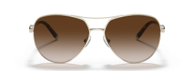 Tiffany & Co TF 3083B Sunglasses