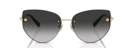 Tiffany & Co TF 3096 Sunglasses