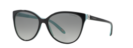 Tiffany & Co TF 4089B Sunglasses