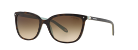 Tiffany & Co TF 4105HB Sunglasses