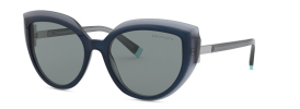 Tiffany & Co TF 4170 Sunglasses