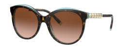 Tiffany & Co TF 4175B Sunglasses