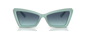 Tiffany & Co TF 4203 Sunglasses