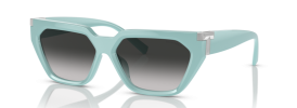 83883C - Tiffany Blue