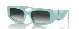 83883C - Tiffany Blue