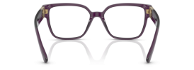 5384 - Transparent Plum