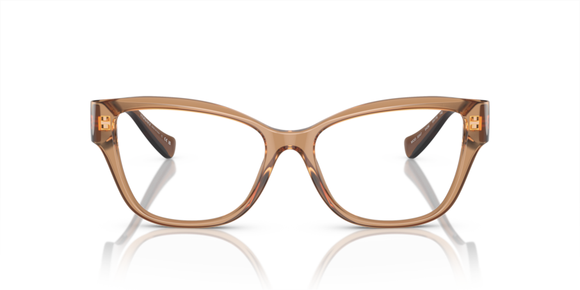 5436 - Brown Transparent