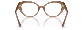 5427 - Brown Transparent