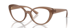 5427 - Brown Transparent