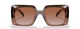 533213 - Transparent Brown Gradient