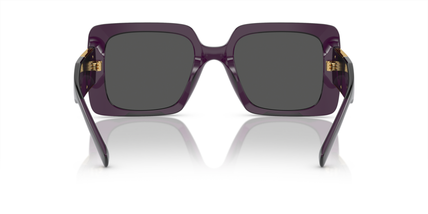 538487 - Transparent Purple