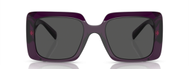 538487 - Transparent Purple