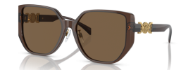 541673 - Transparent Brown