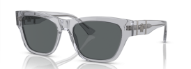 543287 - Grey Transparent