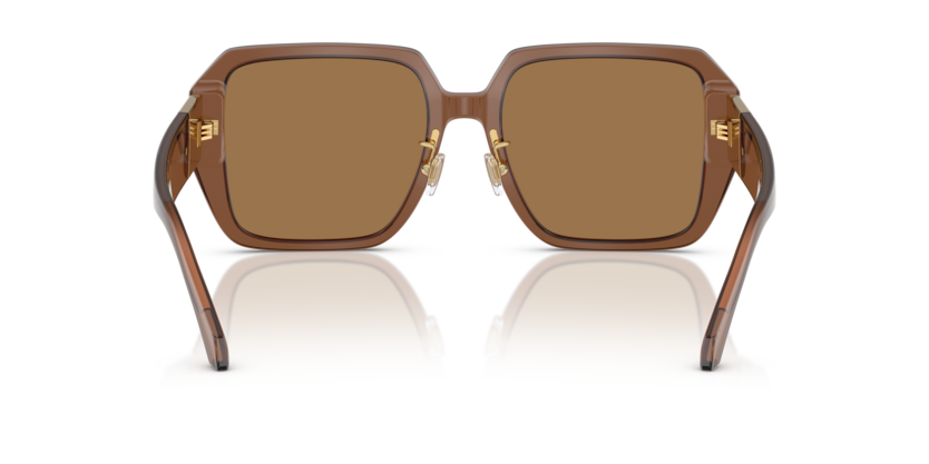 5028/O - Transparent Dark Brown