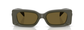 549173 - Dark Olive