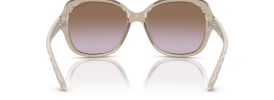 299068 - Transparent Light Brown