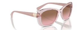 294214 - Transparent Pink