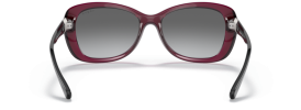 298911 - Transparent Dark Cherry