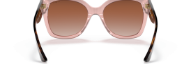 282813 - Pink Transparent