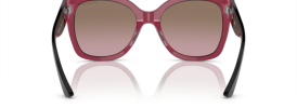 283114 - Transparent Cherry