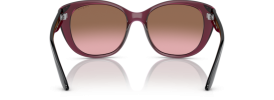 298914 - Transparent Cherry