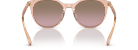 295414 - Transparent Peach