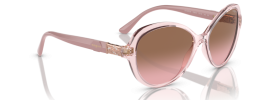 276314 - Transparent Pink