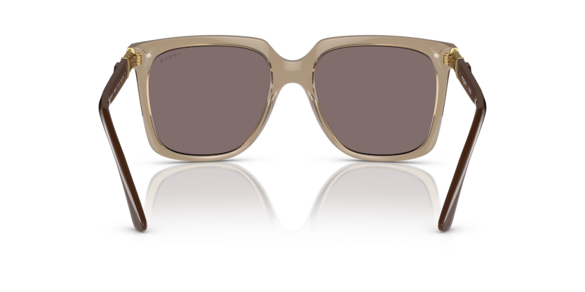 29407N - Transparent Brown