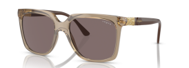 29407N - Transparent Brown