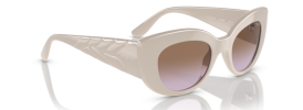 Vogue VO 5480S Sunglasses