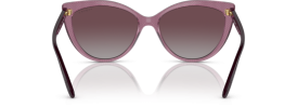 276162 - Transparent Purple