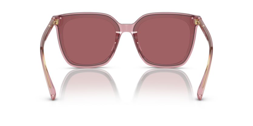 303869 - Transparent Pink